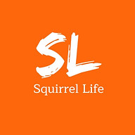 www.squirrellife.shop favicon