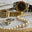 www.stevefishmangallery.com