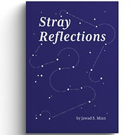 www.strayreflectionsbook.com favicon