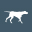 www.talltailsdog.com favicon