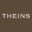 www.theins.my favicon