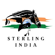 www.thesterlingindia.com favicon