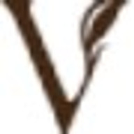 www.thevidyame.com favicon
