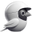 www.thevoyagebird.co.uk
