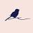 www.thirdandbird.com favicon