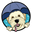 www.undertheweatherpet.com favicon