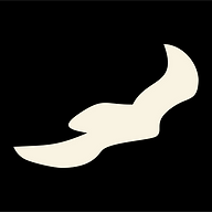 www.windbird.co favicon