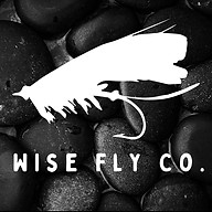 www.wiseflyco.com favicon