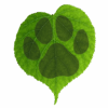 www.woofzpet.com favicon