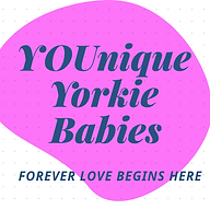 www.youniqueyorkiebabies.com favicon