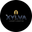 xylvastore.myshopify.com favicon