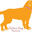 yellowdognantucket.com