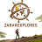 zarakexplores.com favicon