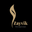 zayvik.com
