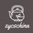 zycscn.com favicon